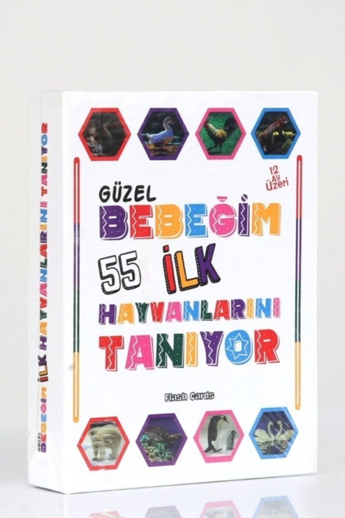 Bebeğim İlk Hayvanlarını Tanıyor